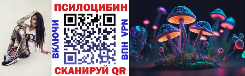 блэк спрут как зайти Кисловодск Галлюциногенные грибы Psilocybe